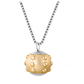 Pulsed Magnetic Pendant (Gold)